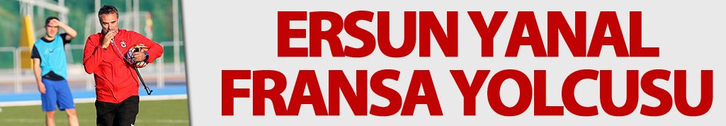 Yanal Fransa yolcusu