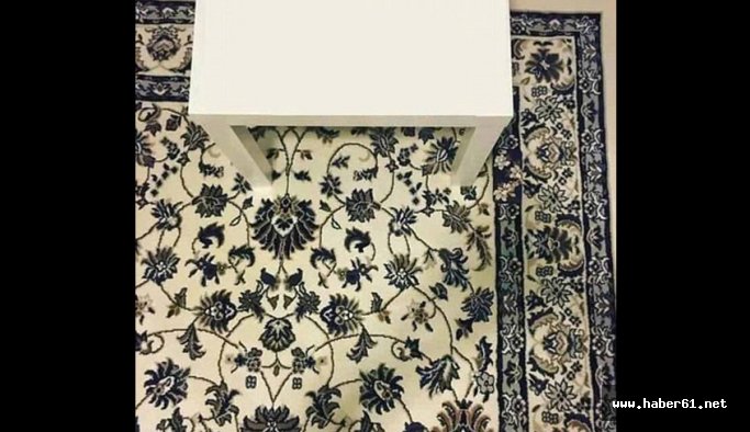 Bu halının üzerindeki telefon kılıfını görebildiniz mi?