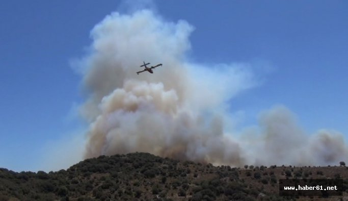 Bodrum'da yangın!