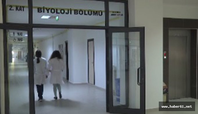 Trabzon toprağında petrol tüketen bakteri bulundu