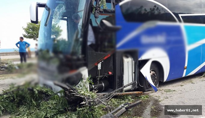 Sahil yolunda feci kaza!