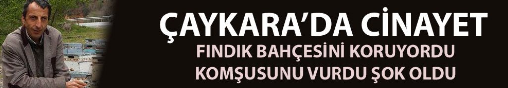 Ataköy'de  cinayet! Fındıklığını korumak isterken