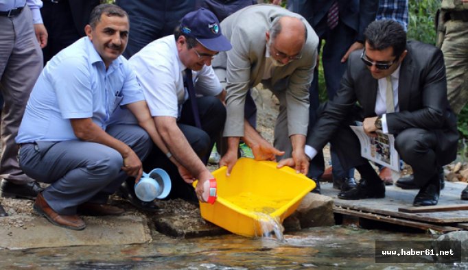 Gümüşhane'de derelere 20 bin balık bırakıldı