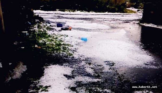 Bir anda geldi vatandaşlar şaşkına döndü...