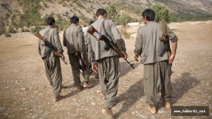 Teröristler Karadeniz'de adam kaçırdı!