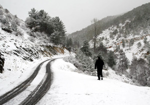Trabzon beyaza büründü