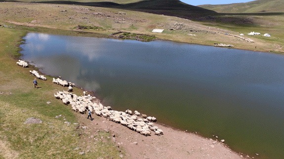 Göletler çiftçinin yüzünü güldürdü!