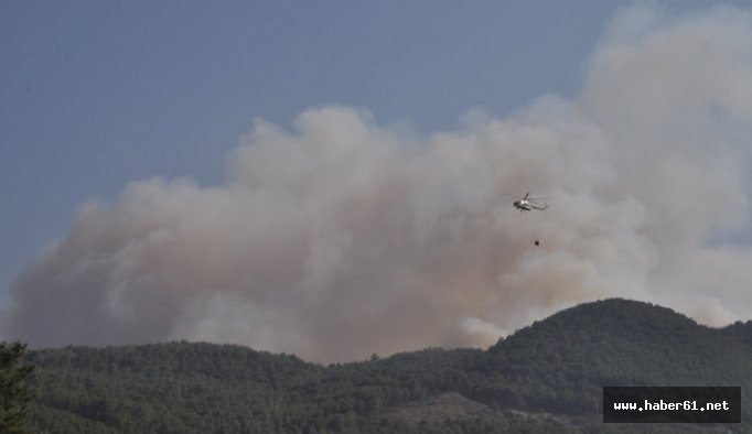 Mangaldan çıkan yangın ormanlık alana sıçradı