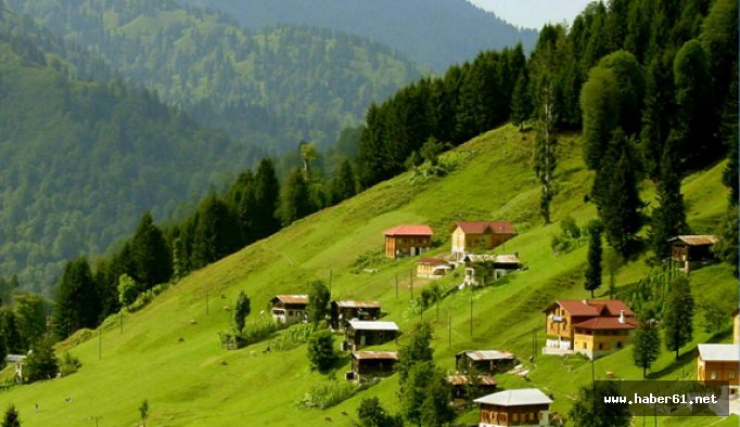 Karadeniz yaylalarında çayır biçme zamanı