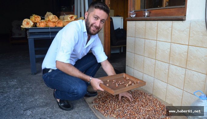 Yılın ilk fındığı tüccara indi