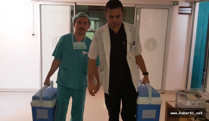 14 yaşındaki kızın organları 3 kişiye umut oldu
