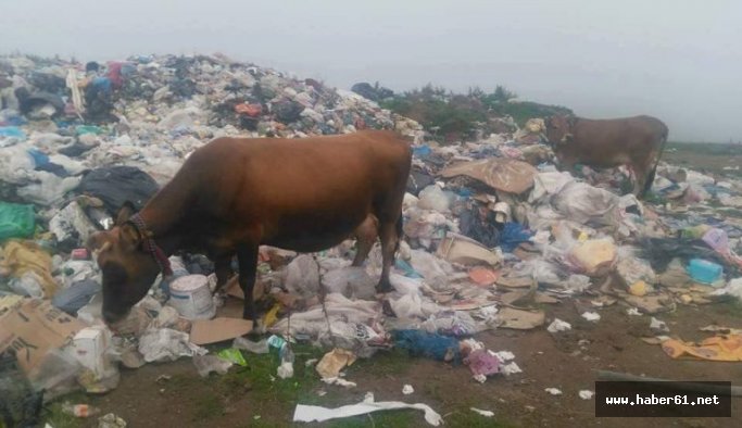 Yaylayı çöplüğe çevirdiler!