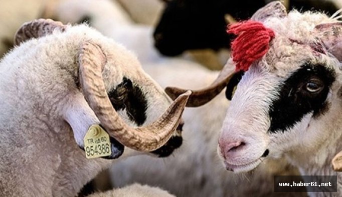 Kurban bayramı ne zaman?  kaç gün tatil !