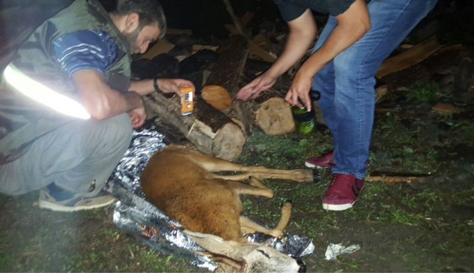 Yaralı Karaca'ya polis şefkati