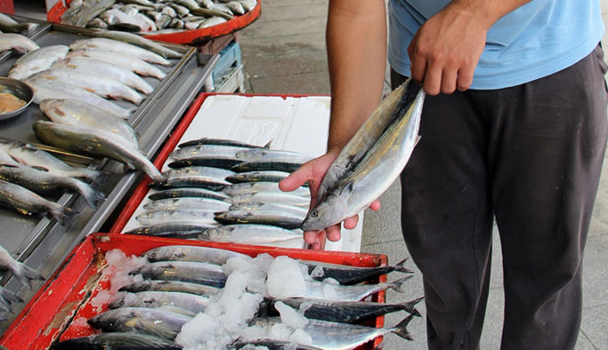 Karadenizli palamuda doyacak