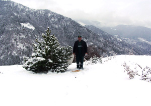Yaban hayvanlarına yem bırakıldı