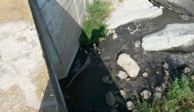 Trabzon'da vatandaşın dere isyanı!