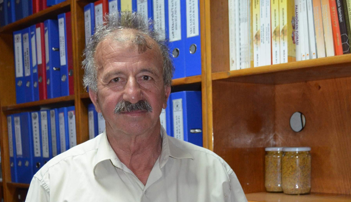 Trabzon'da arıcılar sıkıntılı