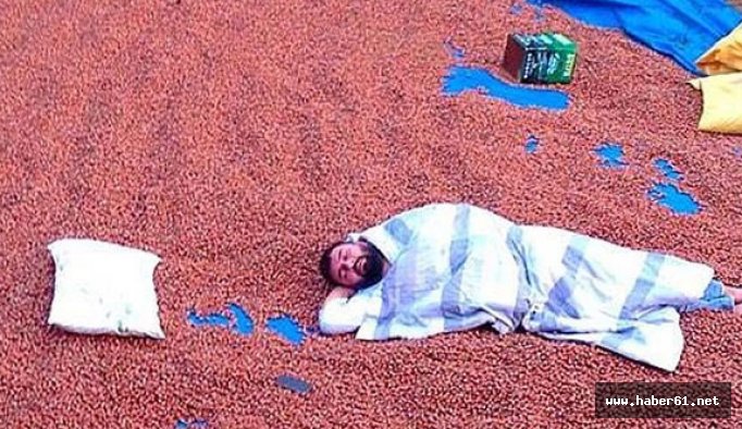 Üreticiler fındıkla yatıyor, fındıkla kalkıyor!