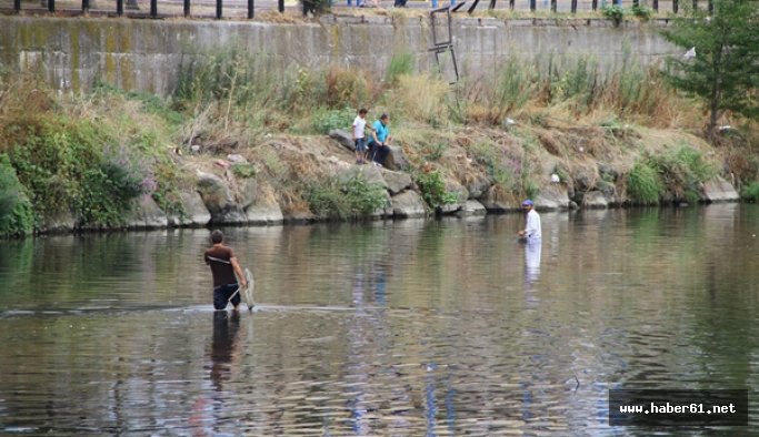 Balık ölümleri korkuttu