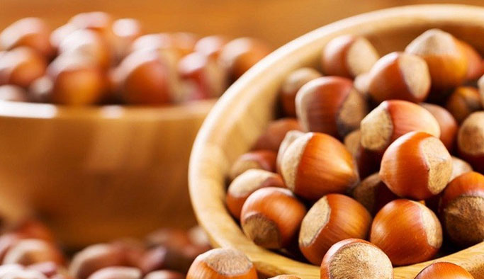 Fındık fiyatları sevindiriyor! Fındık fiyatında son durum