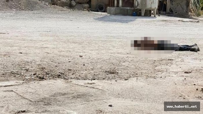 Şırnak'ta eyleme gelen PKK'lı öldürüldü!