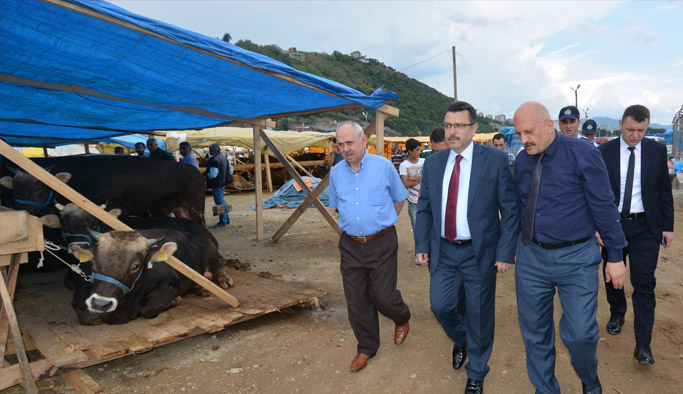 Ahmet Metin Genç, hayvan pazarını gezdi