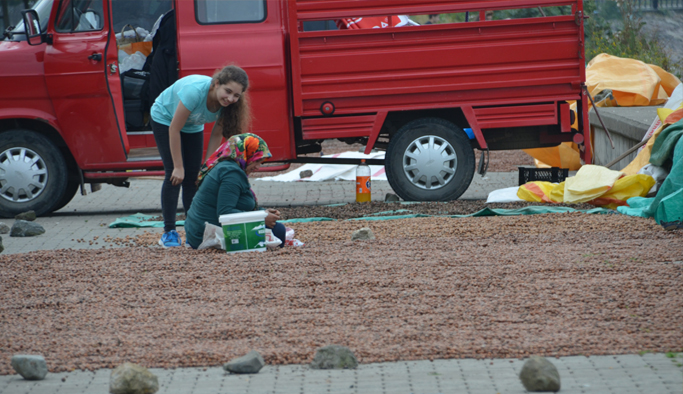 Büyük beklenti, düşük rekolte