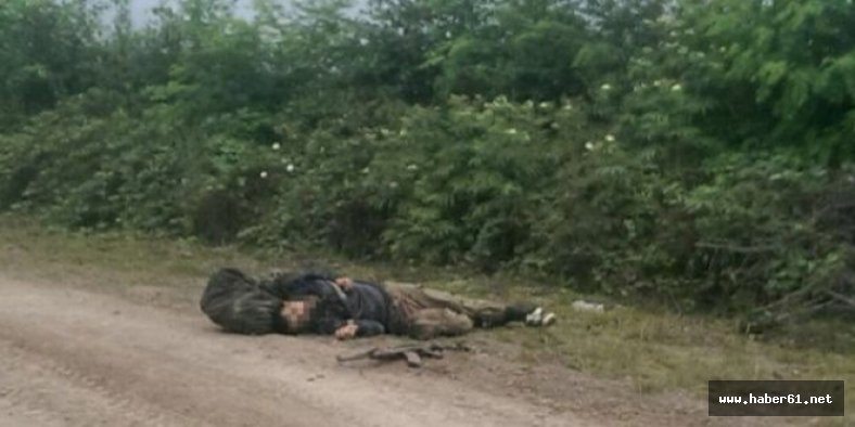 Ordu'da öldürülen terörist hakkında şok gerçek!