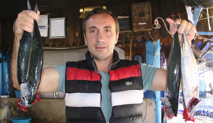 Trabzon'da palamutlar tezgaha indi