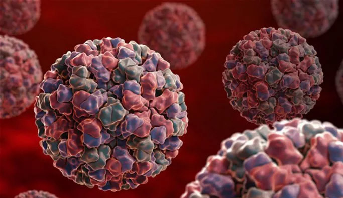 Rize'de virüs salgını!