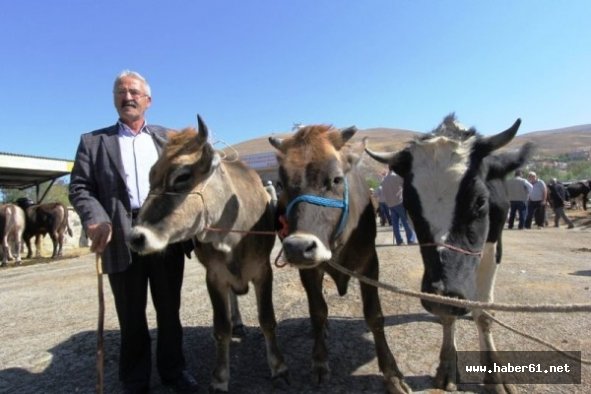 Kurban kesim alanları belirlendi