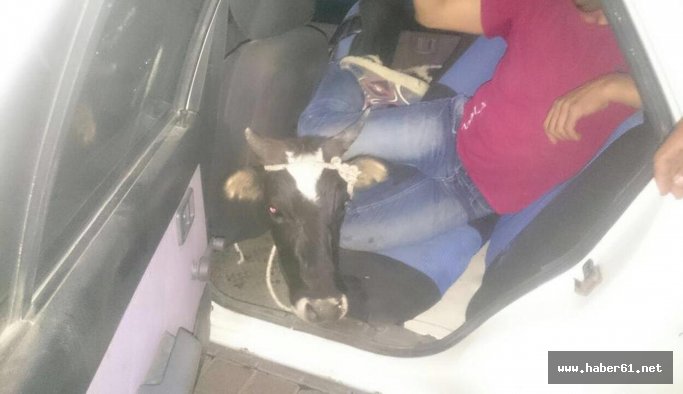 Kapıyı açan polis şoke oldu