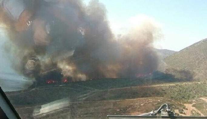 Piknikçi ateşi küle çevirdi