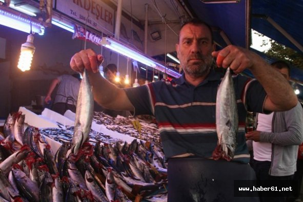 Trabzon'da palamut bereketi