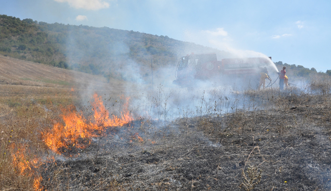 Çöp yangını ormanı küle çevirdi