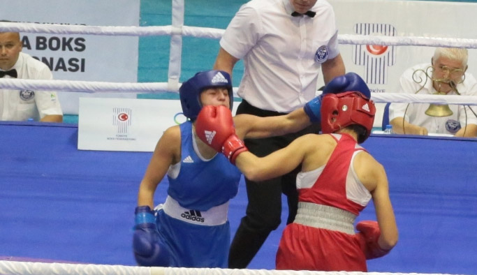 Ordu'ya boksör akını