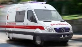 104 kişi kuduz oldu