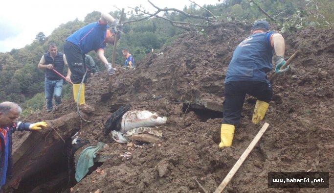 Heyelanda kaybolan kadını arıyorlar