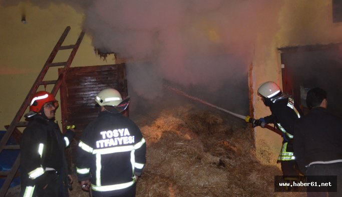 Ölümden döndüler