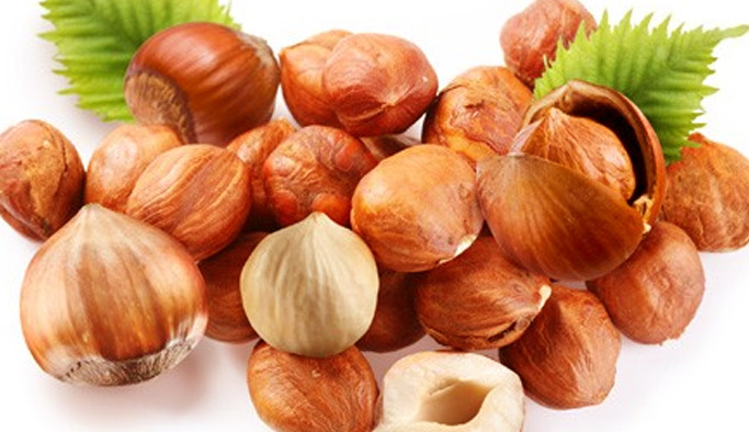 Fındık fiyatları bugün ne kadar? Fındık fiyatında son durum