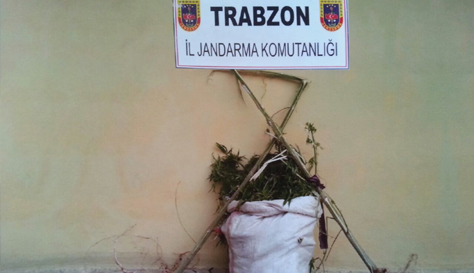 Trabzon'da uyuşturucu baskını
