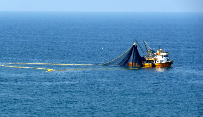 Trabzon'dan balığın peşine Sinop'a gittiler ama...
