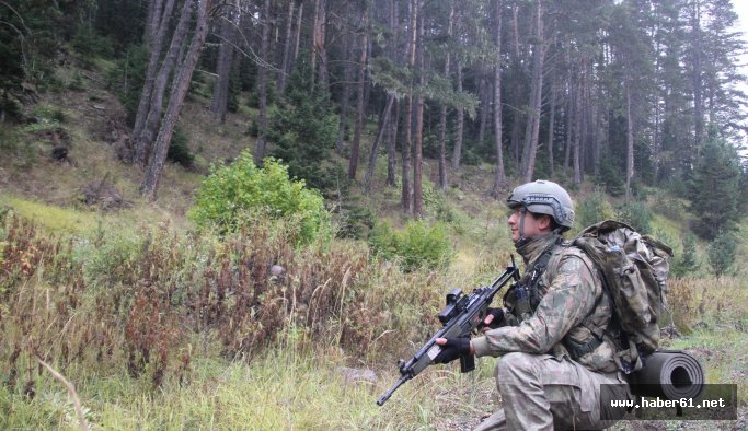 Terösitlerin öldürüldüğü yerde operasyon başladı