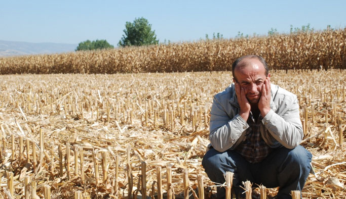 Pes dedirten hırsızlık!