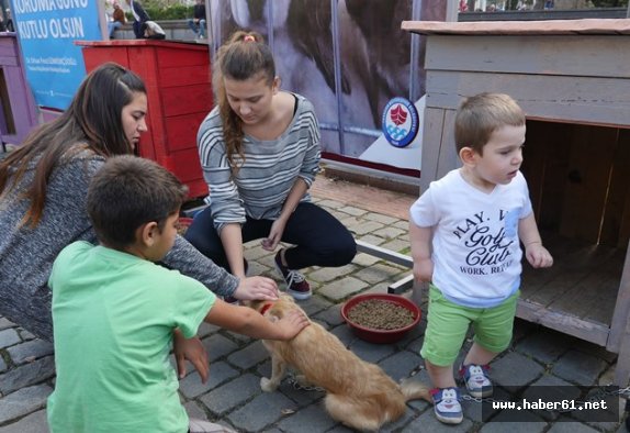 Trabzon’da sokak hayvanları unutulmadı