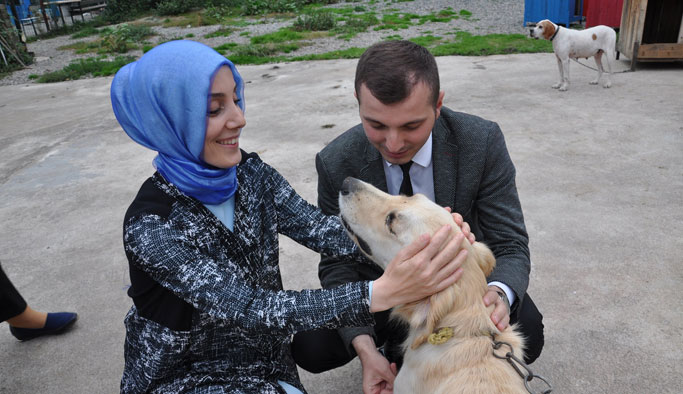 AK Kadınlardan Hayvan Barınağına ziyaret