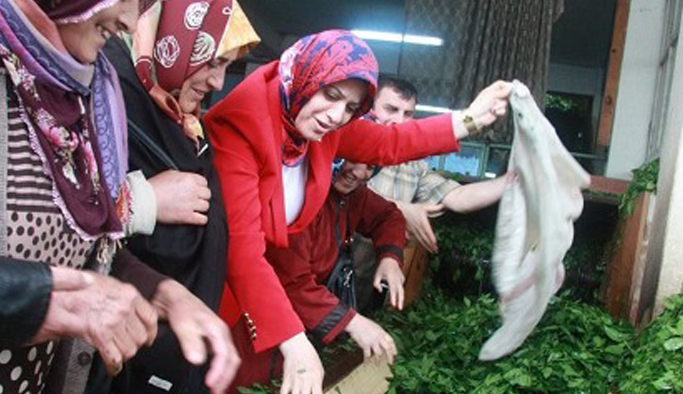 Trabzon'da 5 ürün desteklenecek