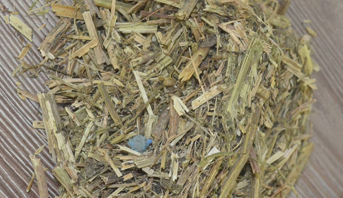 Fındıkta yeni dönem