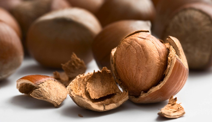 Fındıkta alan bazlı gelir desteği 28 Ekim'de sona eriyor. 11-10-2016